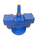 Double Orifice Ball Air Relese Valve